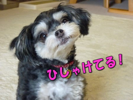 �Ҥ��㤱