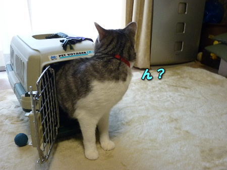 14��