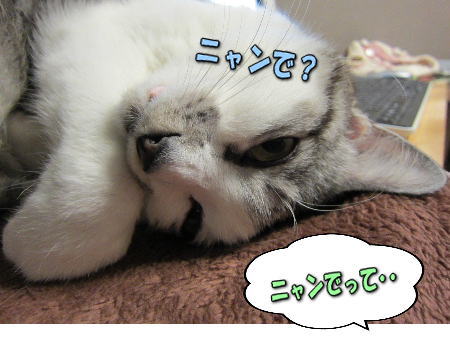 3�ʤ��