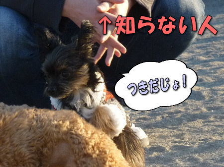 7�Τ�ʤ�2