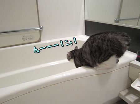 �󡼡�