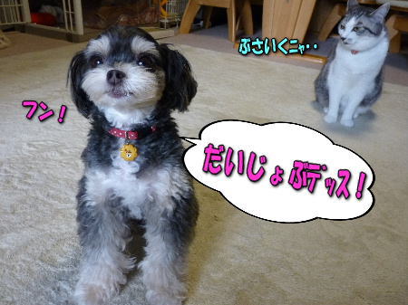 �̎ގ�����