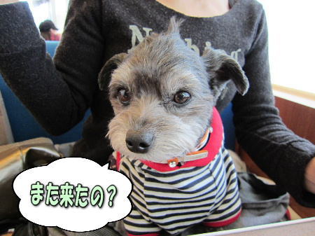 1�褿��