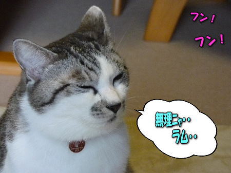 ̵��