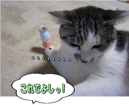 12�褷
