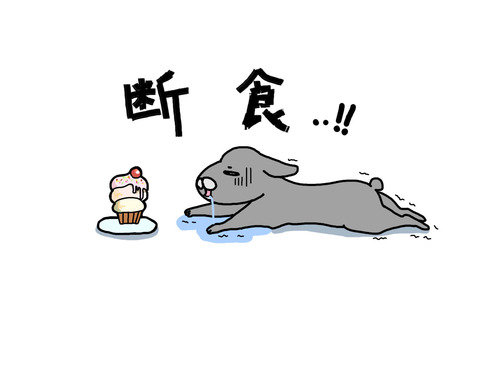 usagi05