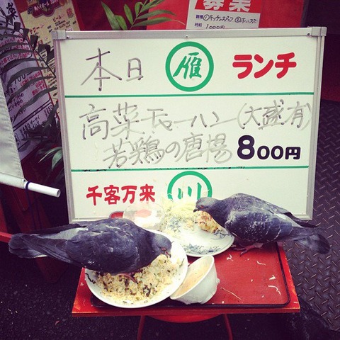 ランチ見本