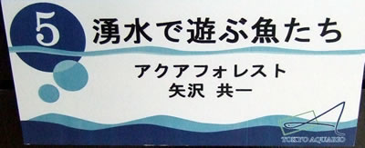 ���AQUARIO(�������ꥪ)2007 90cm���� 5