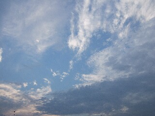 夏の空