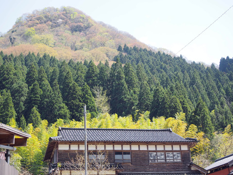 ・