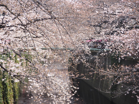 ・