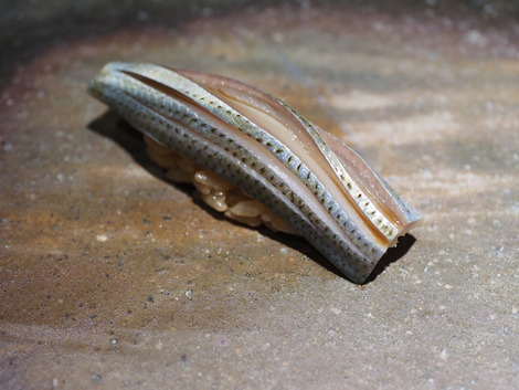 P7120631