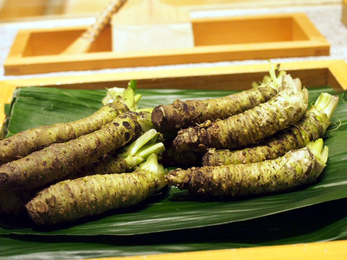 山葵