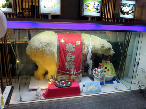 白熊