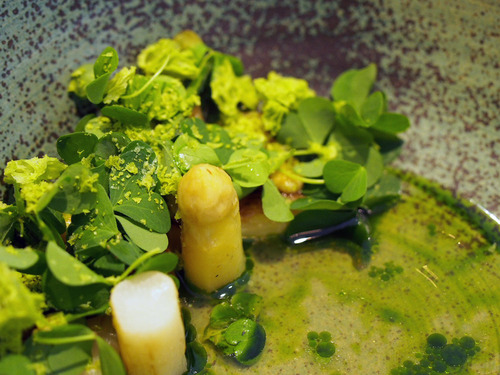 Asperge