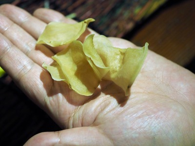 P3130085