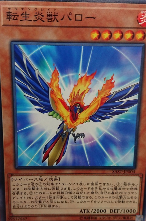 33535249