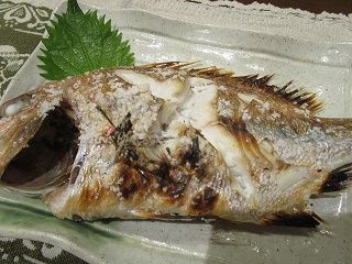 IMG_9995