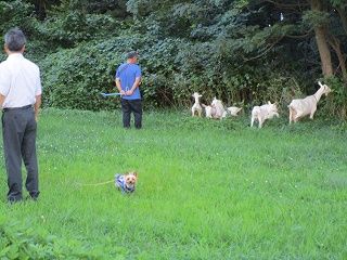 IMG_6618