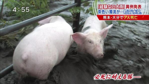 C؂KɃn[hւ̃n[hグĂ 	->摜>6 