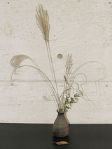 e0084012.jpg