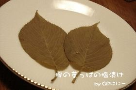 b3475193bcaf328e7c1ca4e9588f59d2