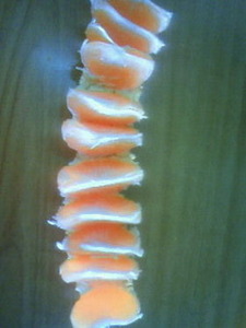 25a595f0dd1e9582295c56307deee897
