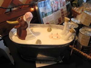 IMG_1535_convert_20090716211417