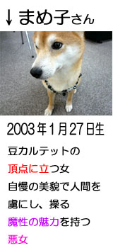�ޤ�ҥץ��ե�����