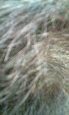 20100409_1