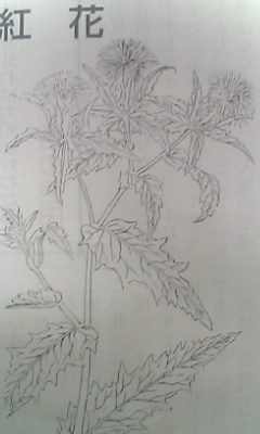 紅花