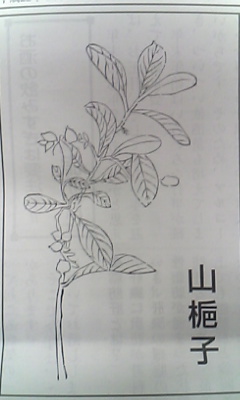 山し子
