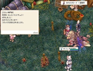 体力のグローブ