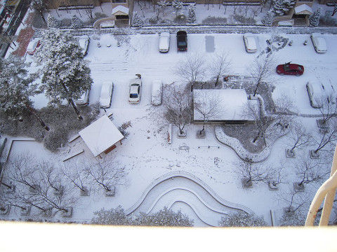 resize0020