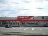 DSCN4541