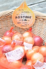 2014_0818_100623-DSC_1405 - コピー