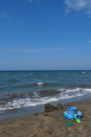DSC_3119-圧縮