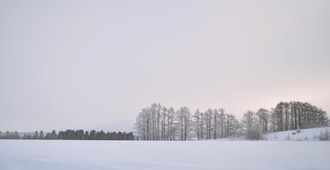 DSC_2801-加工圧縮