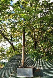DSC_1232