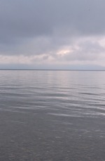 DSC_1575