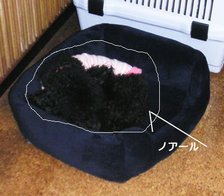 ²º·Á¤Î½Ñ
