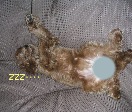 ¶Ë³Ú1