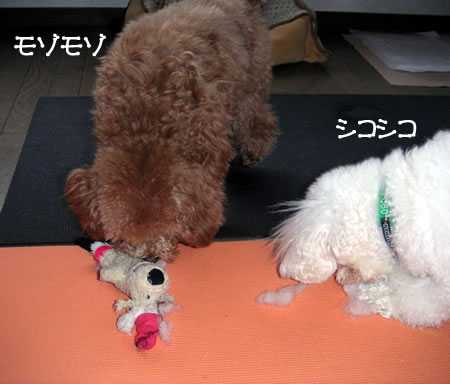 ¥µ¥ó¥¿3