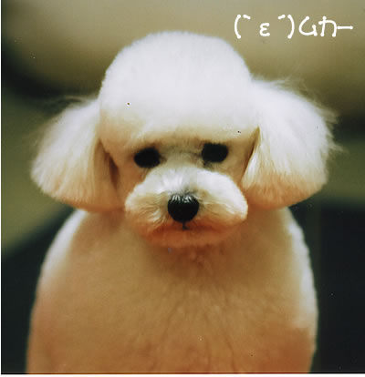 ¥à¥«¡Á