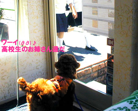 ¤ª»Å»ö¥ì¥ª¥ó3