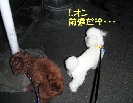 Ìë»¶Êâ