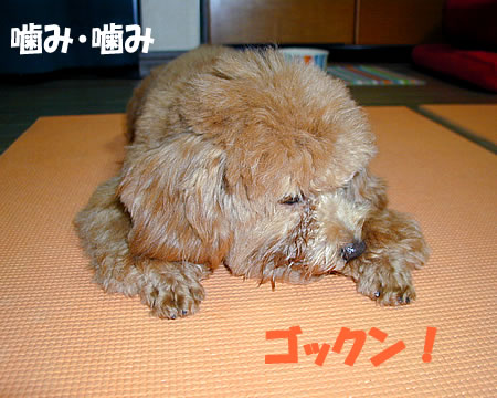 ³ú¤ß³ú¤ß¥ì¥ª¥ó