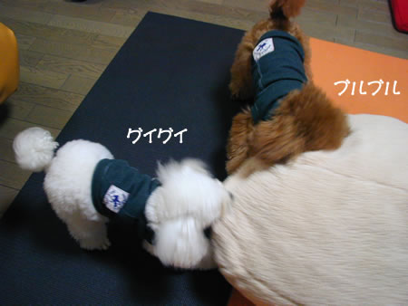 ¥ß¥È¥ó¡¦¥ì¥ª¥ó