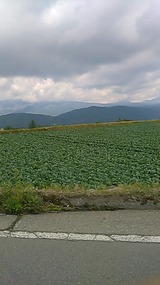 7a0eda07.jpg