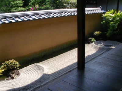 blog 204
